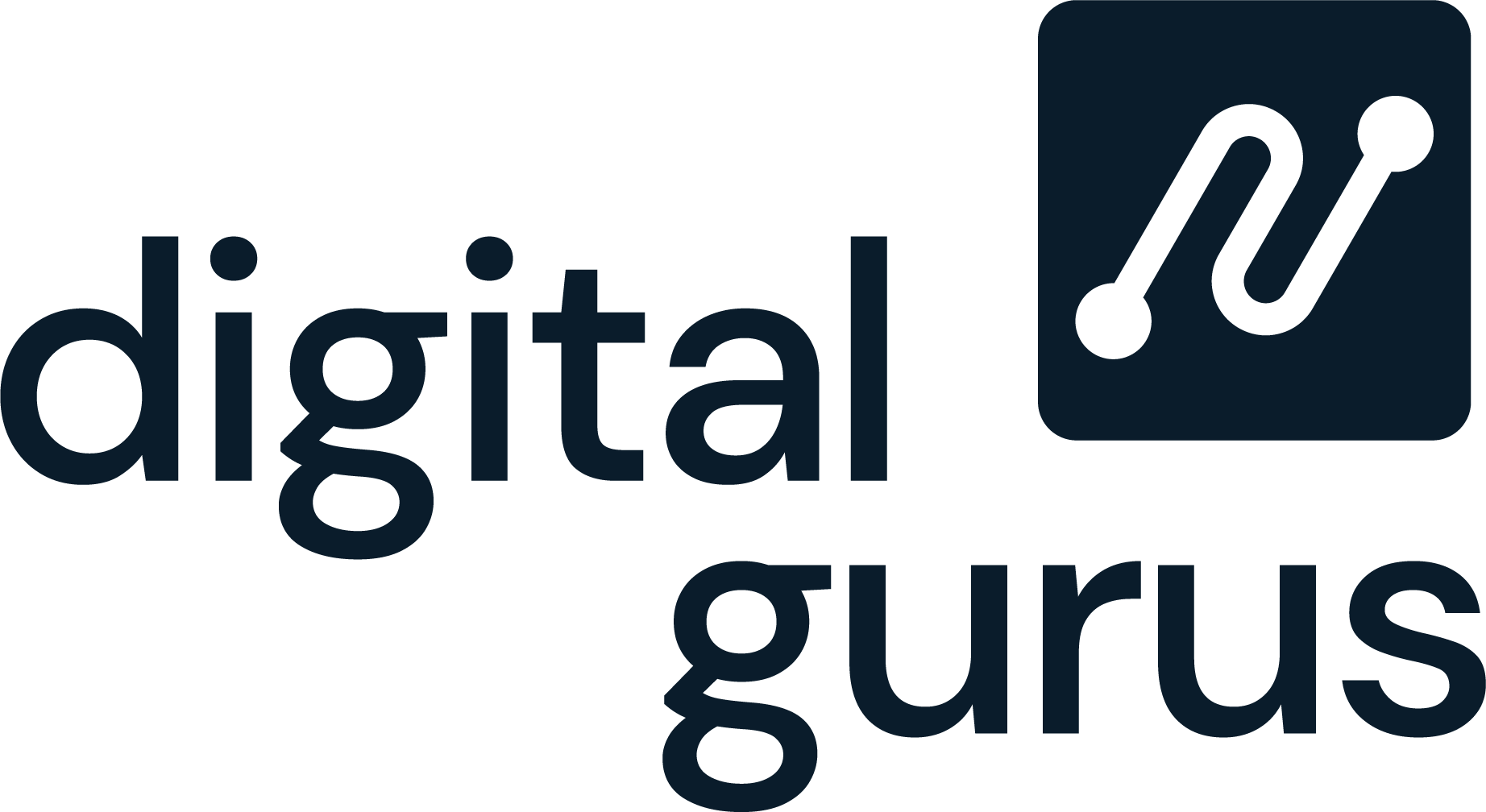 Digital Gurus